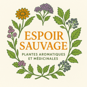 Tisane printanière