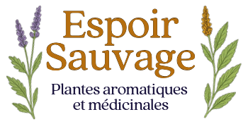 Espoir Sauvage